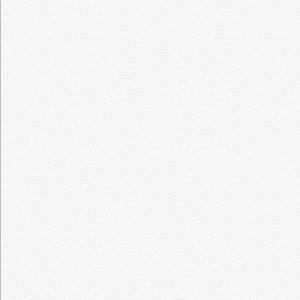 Meet your Posher, Ronnie